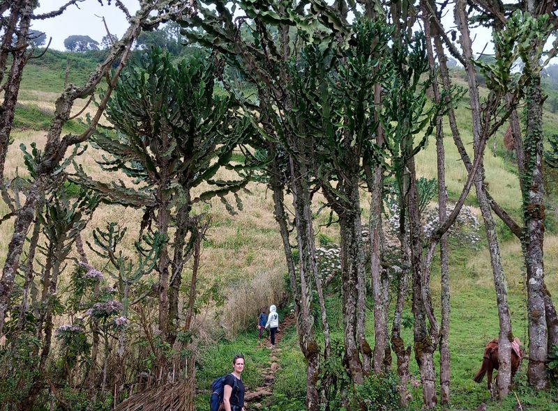 Groepsreis Ethiopië wandeltocht