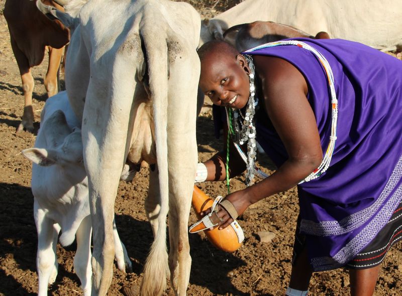 Groepsreis Tanzania Masaï