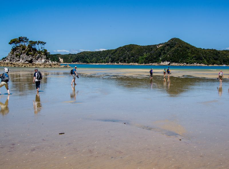 Groepsreis Nieuw-Zeeland de kustlijn
