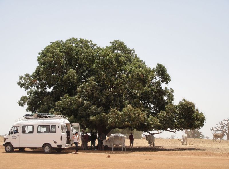Groepsreis Senegal onderweg