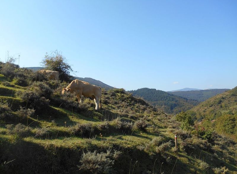 Groepsreis Spanje Van Life wandelen Ezcaray in La Rioja