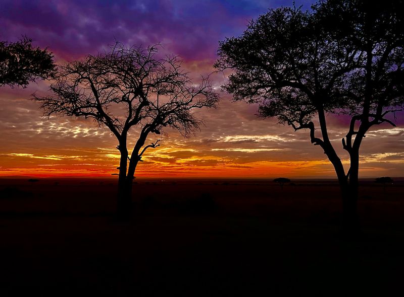 Groepsreis Kenia zonsopgang boven de Masai Mara