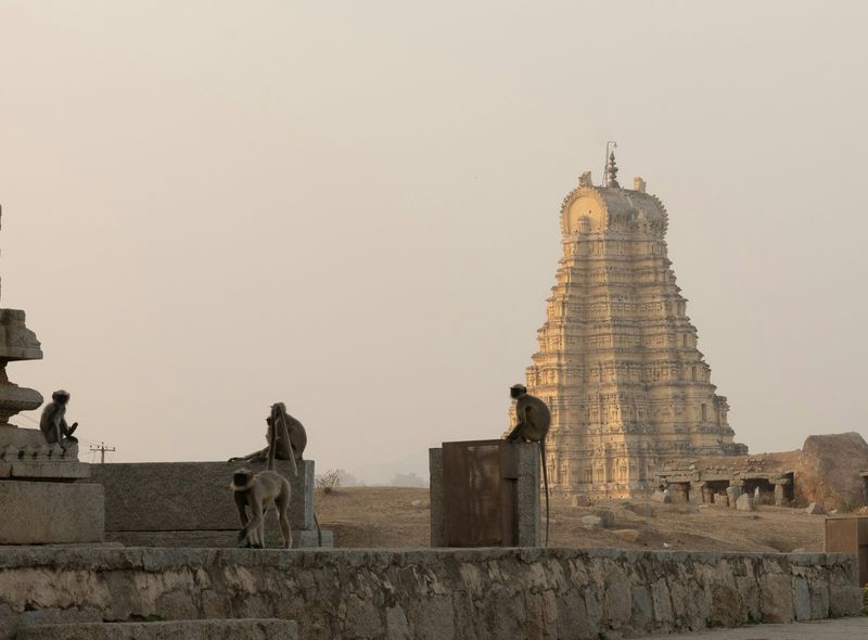 Zuid-India groepsreis tempels