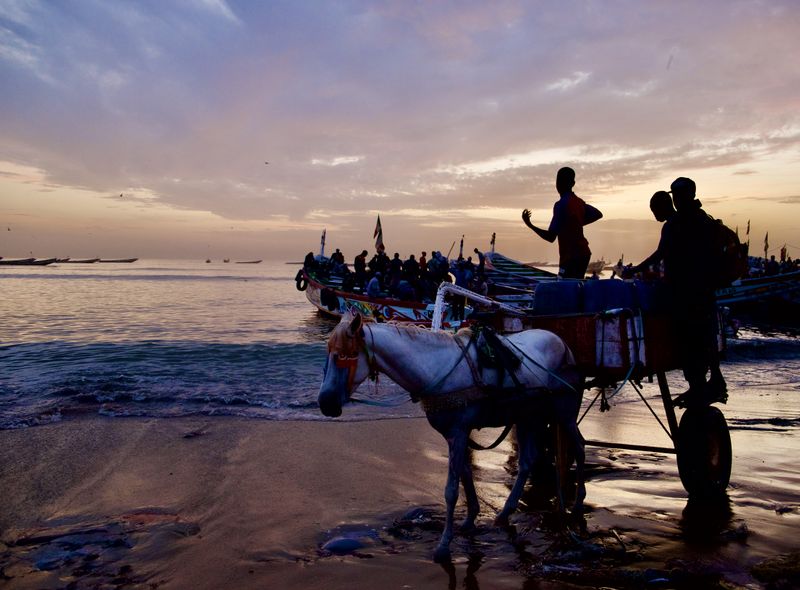 Groepsreis Senegal ivisserleven
