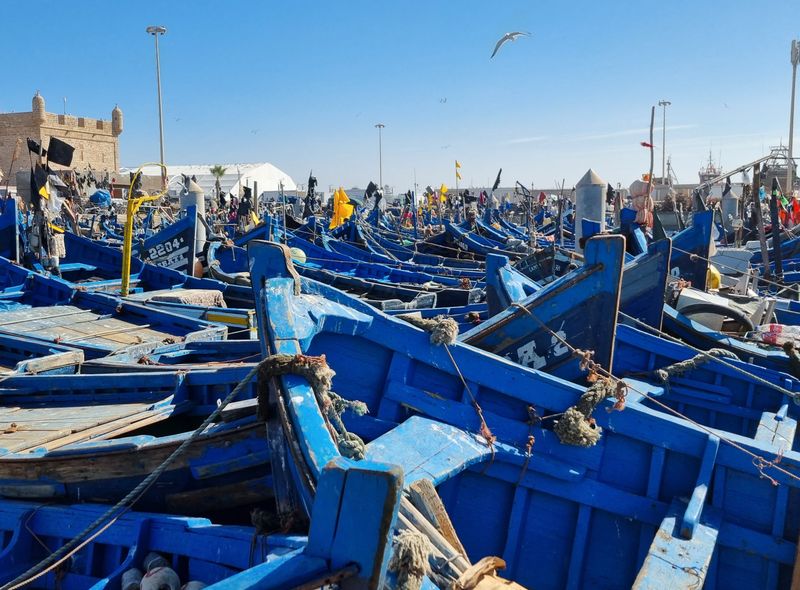 Groepsreis Marokko Essaouira boten