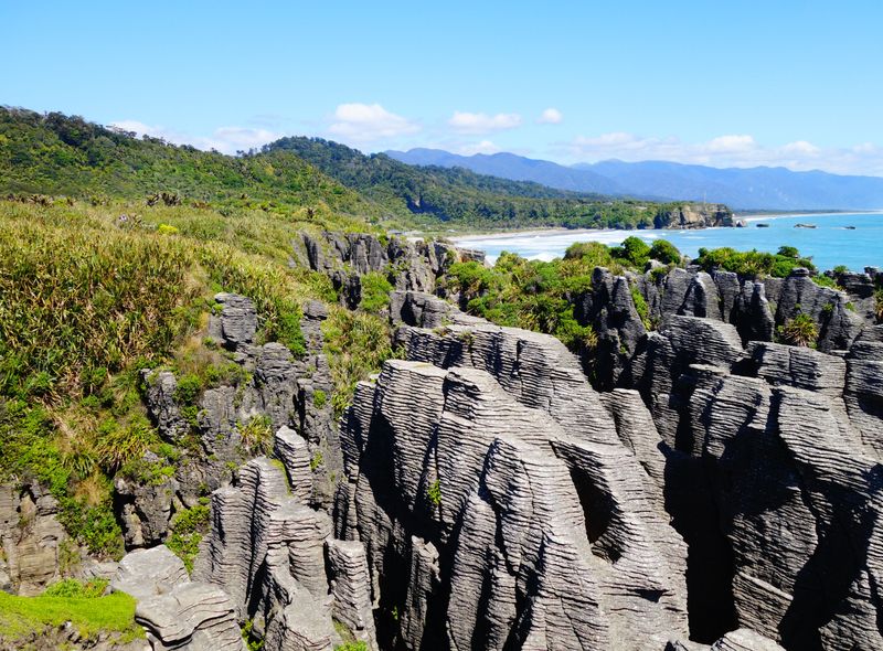 Groepsreis Nieuw-Zeeland Abel Tasman