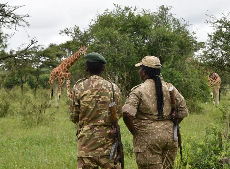 Groepsreis Oeganda wandelsafari met rangers