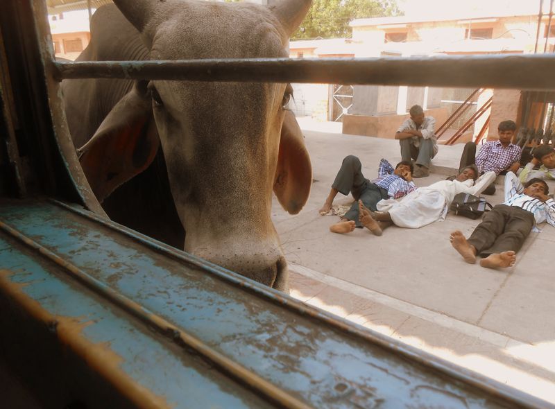 India groepsreis bezoeker in de trein