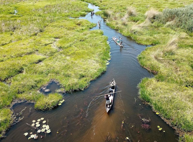 Groepsreis Comfort Sunway Safaris mokoro Okavango delta in Botswana