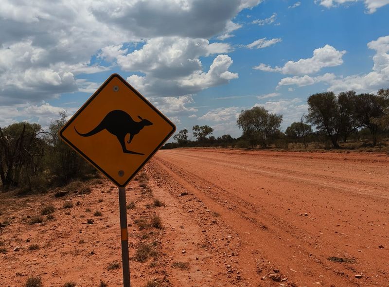 Groepsreis Australië kangoeroe