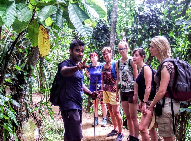 Groepsreis Sri Lanka Knuckles wandeltocht