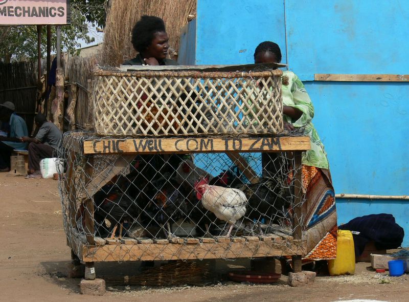 Zambia groepsreis Katete