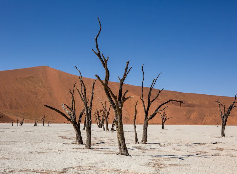 Groepsreis Namibië &amp; Zuid-Afrika Deadvlei