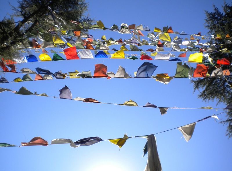 Groepsreis India gebedsvlaggen