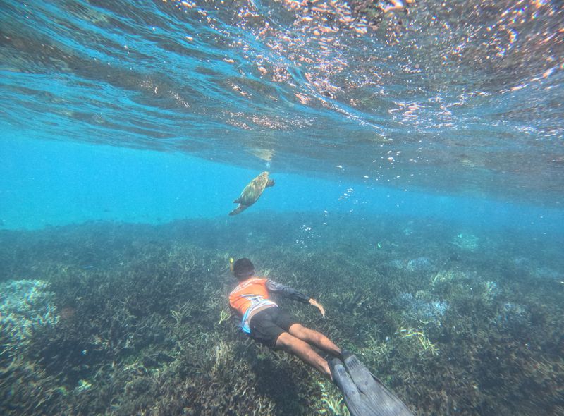Groepsreis Sri Lanka snorkelen Surf &amp; Dive