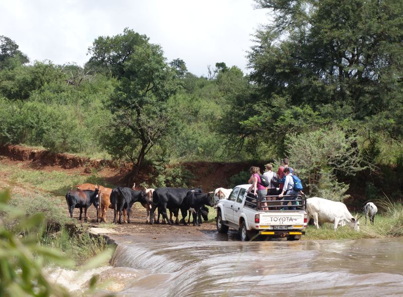 Groepsreis Zuid-Afrika en Lesotho 4x4