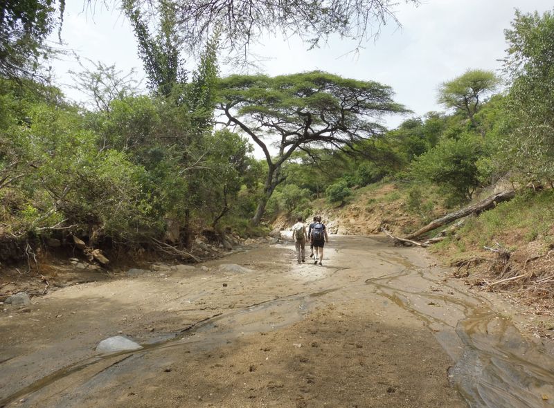 Groepsreis Ethiopië wandeltocht trekking Hamer regio