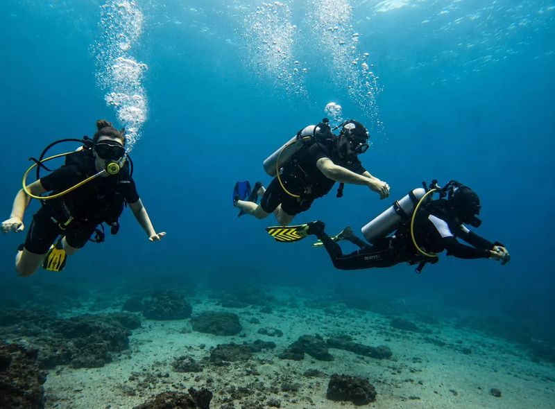 Groepsreis Sri Lanka PADI duikbrevet