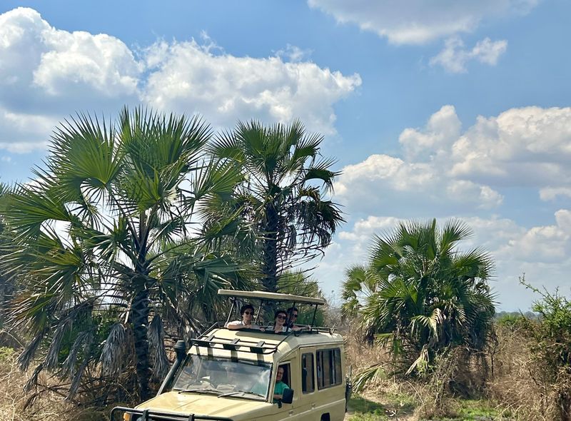 Groepsreis Tanzania jeep