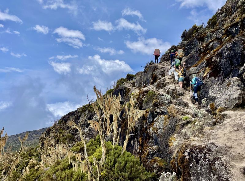 Tanzania groepsreis Kilimanjaro beklimming Machame route
