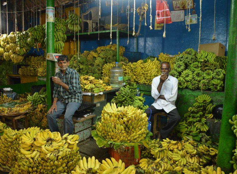 Zuid-India groepsreis straatbeeld