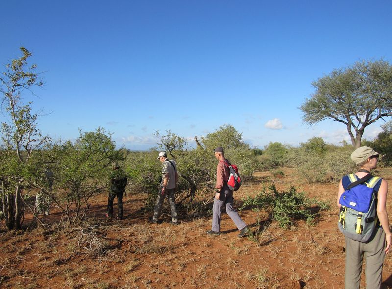 Groepsreis Comfort Kruger Zuid-Afrika Sunway Safaris