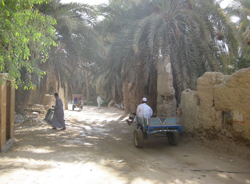 Egypte groepsreis lokale leven bij Aswan aan de rand van de Nijl
