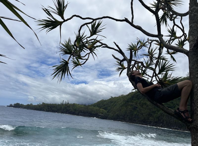 Groepsreis Réunion kust en zee