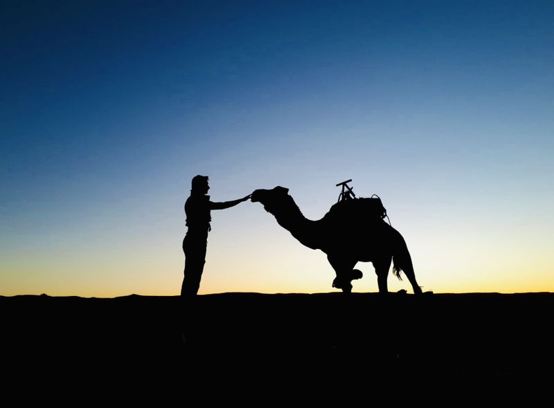 Woestijntrekking met kameel