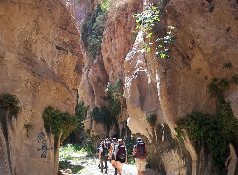 Groepsreis Jordanië