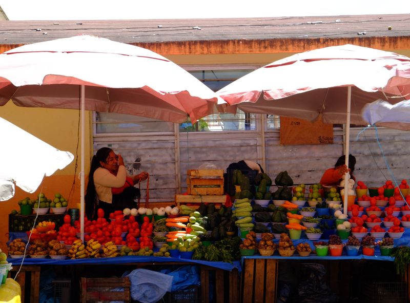 Groepsreis Mexico
