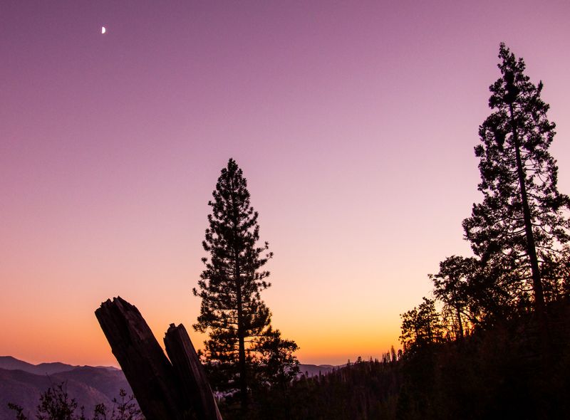 California