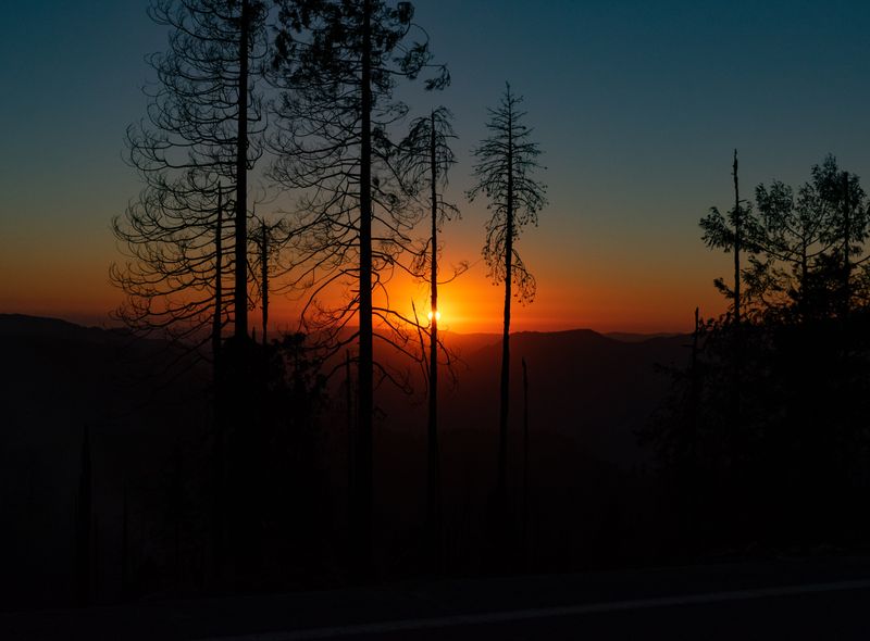 Californië