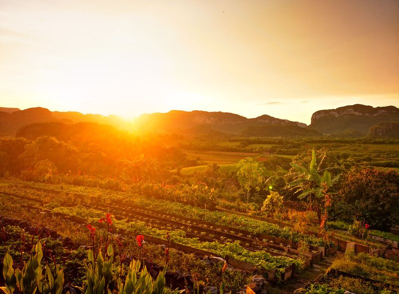 Joker Groepsreis Cuba