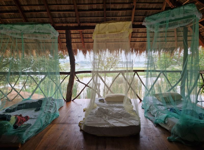 Groepsreis Sri Lanka