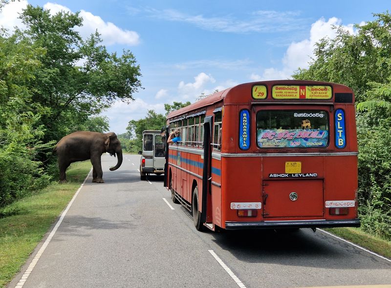 Groepsreis Sri Lanka