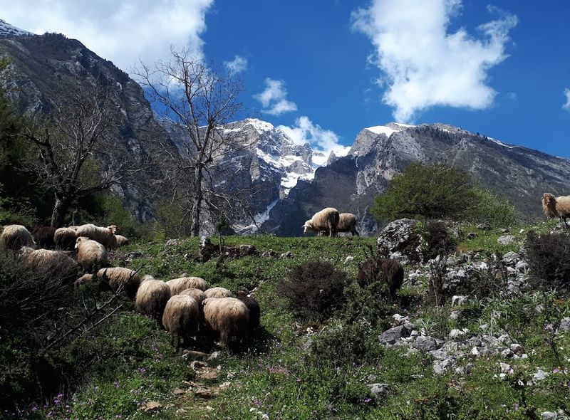 Groepsreis Albanië Zagoria