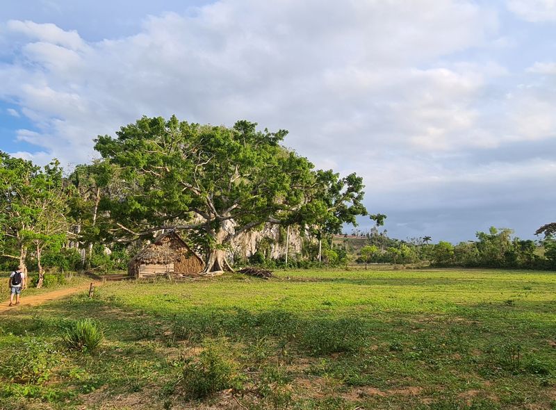 Groepsreis Cuba, comfort