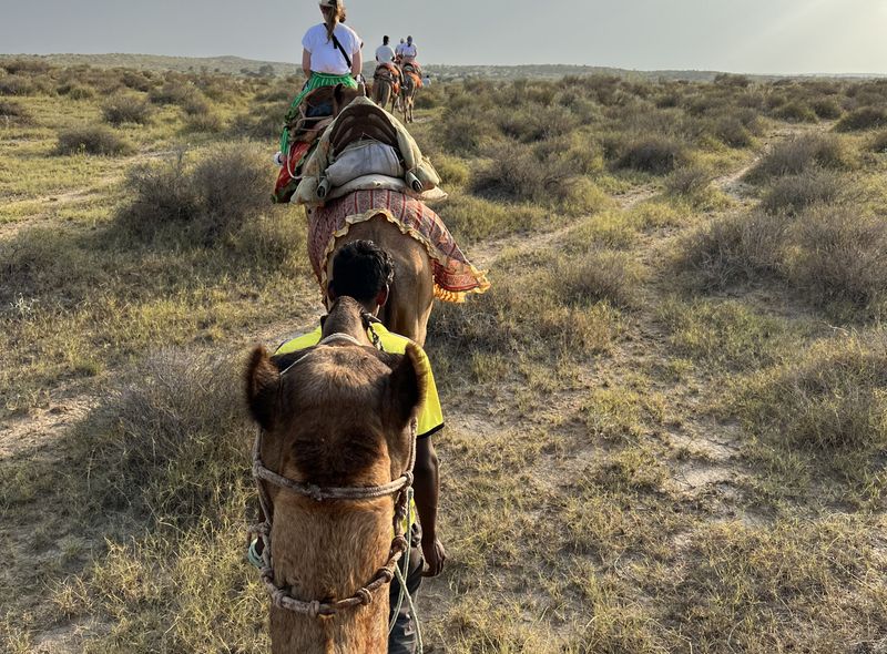 Groepsreis India woestijntocht kamelen Jaisalmer
