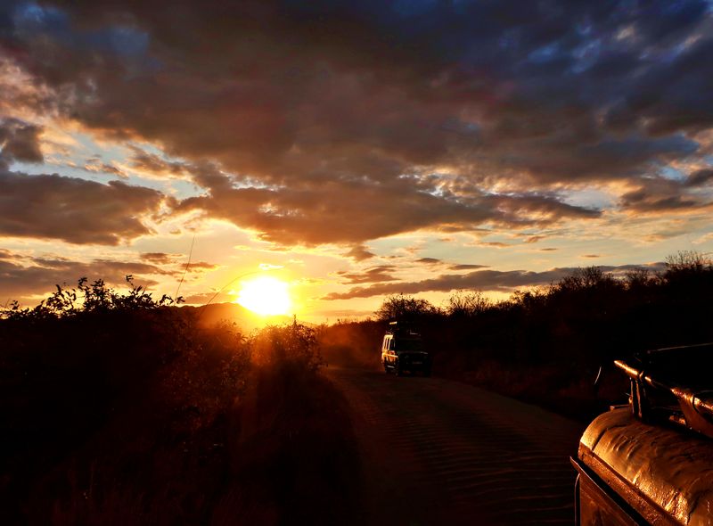 Tanzania groepsreis zonsondergang op safari