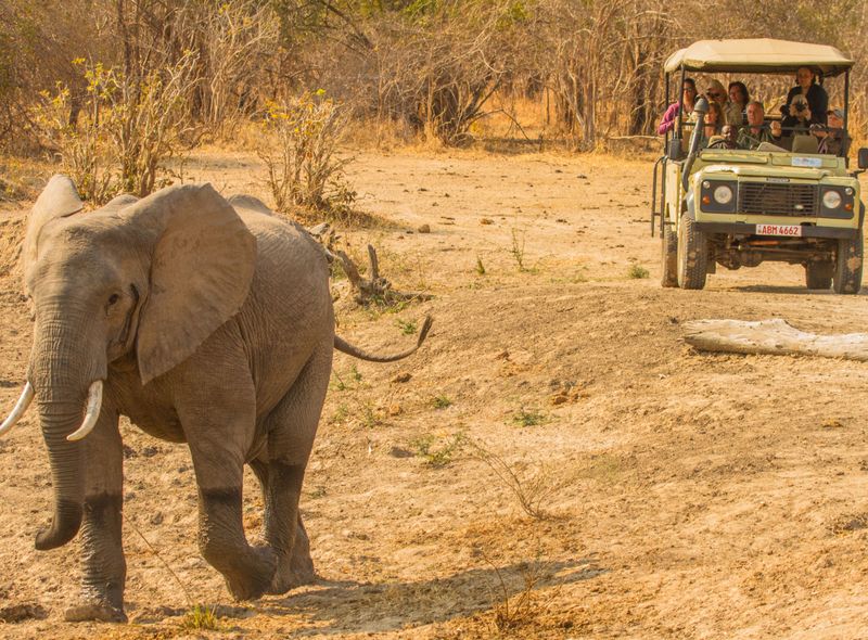 Zambia groepsreis safari South-Luangwa jeep