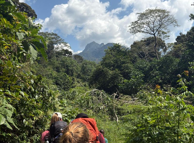 Groepsreis jongerenreis Tanzania Udzungwa Mountains trekking