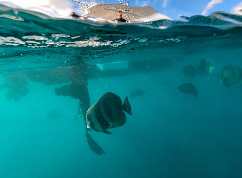 Groepsreis Australië snorkelen