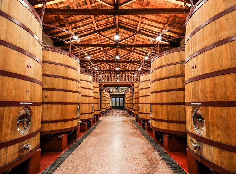 Groepsreis Spanje Van Life wijn proeven wijnvaten