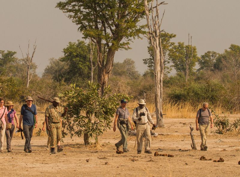 Zambia groepsreis voetsafari