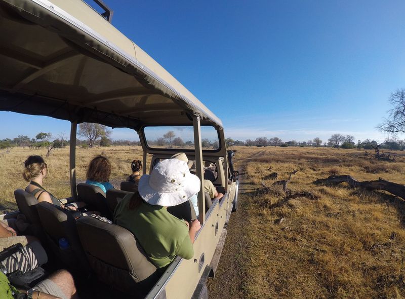 Groepsreis Botswana Land Cruiser transport