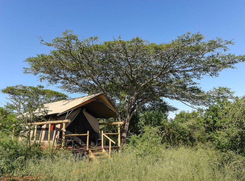 Groepsreis Comfort tentenkamp Sunway Safaris Zuid-Afrika