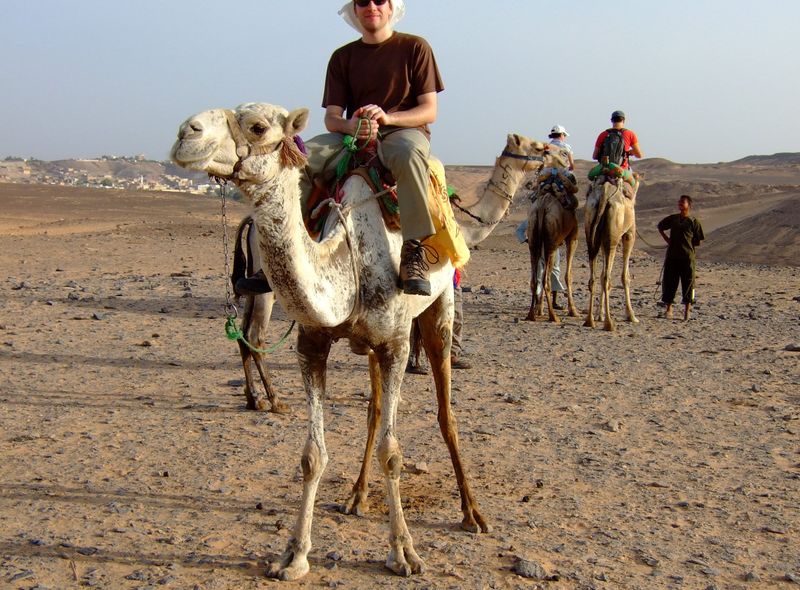 Groepsreis Egypte dromedaris