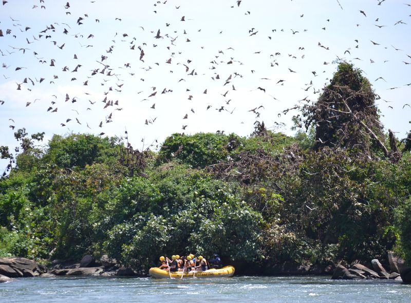 Groepsreis Kenia Oeganda en Tanzania jongerenreis raften Jinja