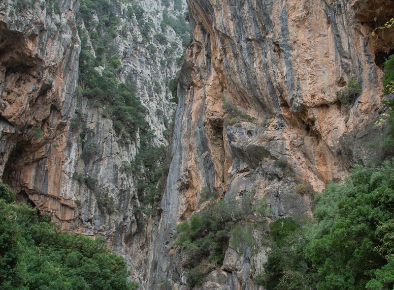 Groepsreis Spanje Mallorca